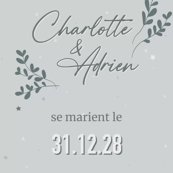 Save the date de 22 secondes sur le thème hivernal pour annoncer votre mariage de façon moderne et écologique