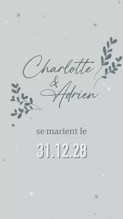 Save the date de 22 secondes sur le thème hivernal pour annoncer votre mariage de façon moderne et écologique